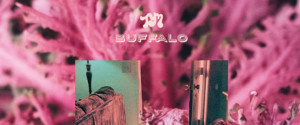 Toro-Y-Moi-Buffalo-Cover-Art