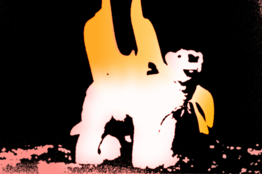 The Blowies: quot Bye Bye Polar Bears quot PREMIERE KUTX